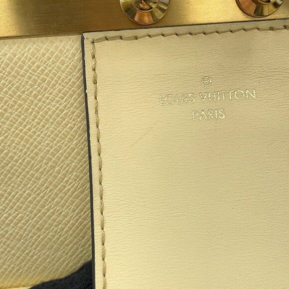 LOUIS VUITTON City Frame Taiga Leather Yellow - Picture 11 of 16